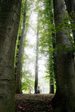 cultuur fotografie Utrecht